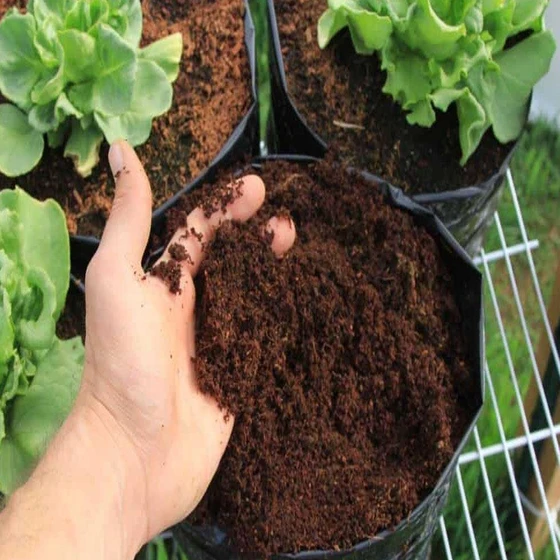 coco-peat-agriculture-2.webp