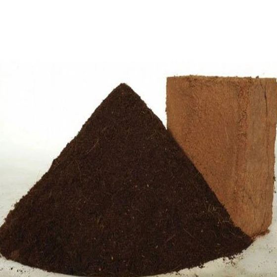 homemade-coco-peat-2.webp