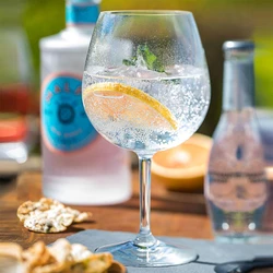disposable gin glasses, premium polycarbonate