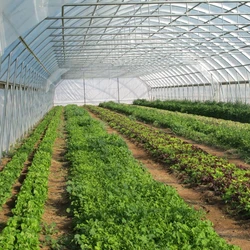 UV Stabilized Argo Shade Green House Nets Durable