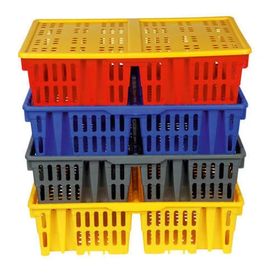 plastic-chick-transport-crate-1.webp