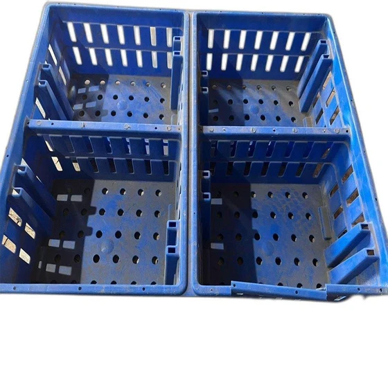 plastic-chick-transport-crate-2.webp