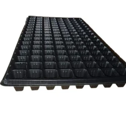 Black Seed Tray