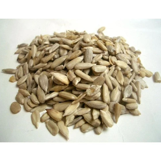 white-sunflower-seed-1.webp