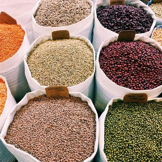 legume-and-lentil-1.webp