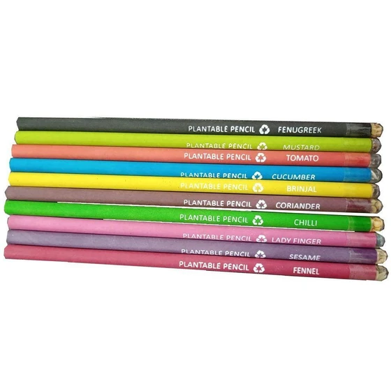 plantable-seed-paper-pencil.webp