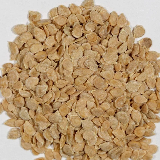 dried-hybrid-tomato-seed-2.webp