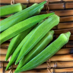 Hybrid Okra Seed