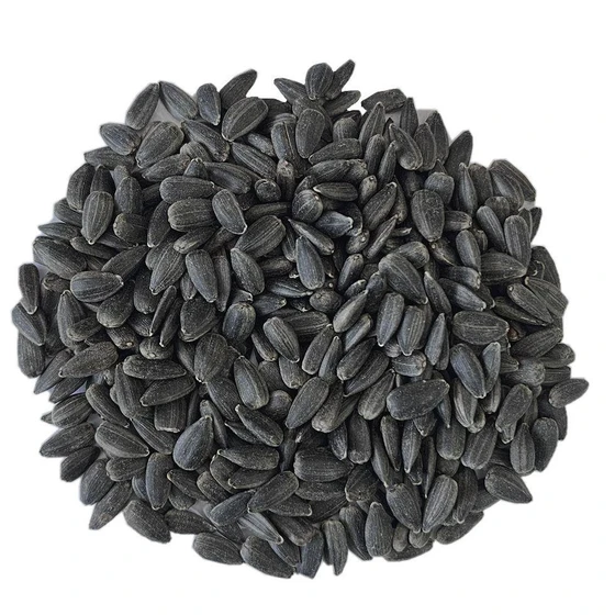 black-sunflower-seed-2.webp