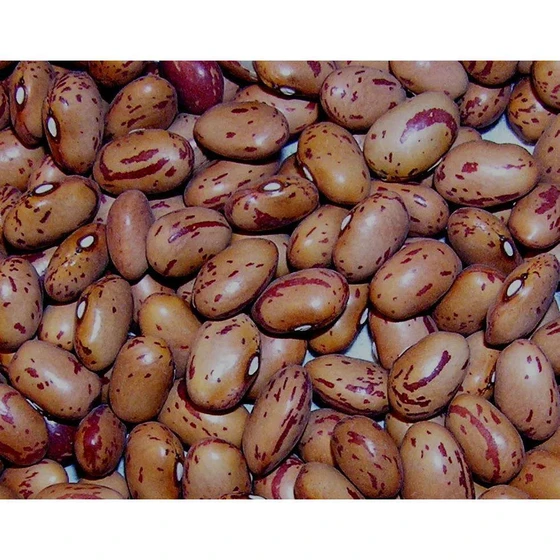 dried-183-beans-seed-1.webp