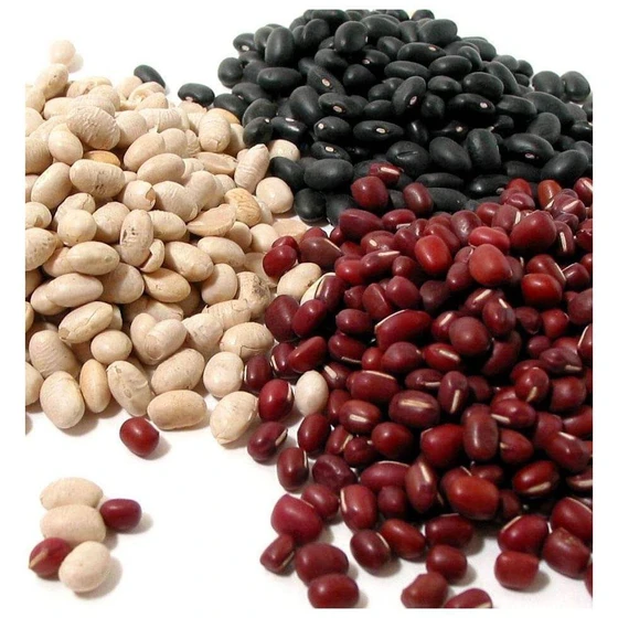 dried-183-beans-seed-2.webp