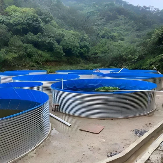 fish-farming-tank-2.webp