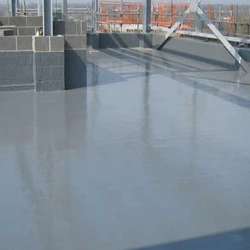 Polyurethane Water Proofing Service