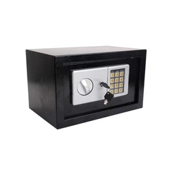 Electronic Safer Box