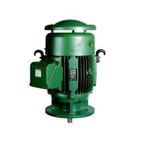 vertical-electric-motors-1.webp