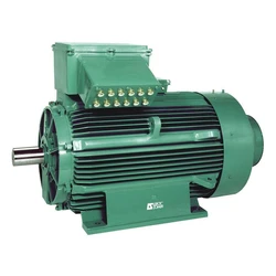 AC Electric Motor
