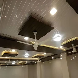 Commercial Pvc False Ceilings