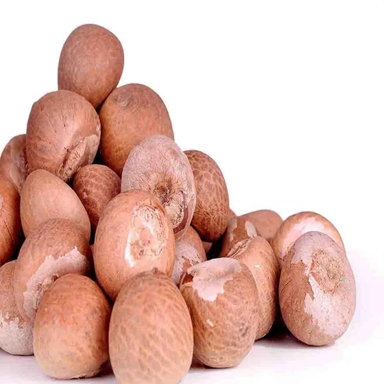 betel-nuts-1.webp