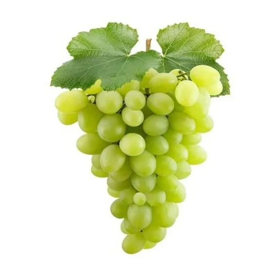 green-grapes-fruit-1.webp