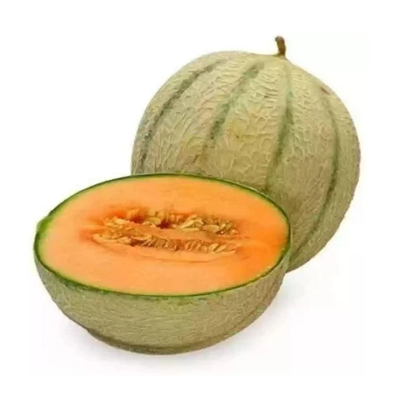organic-musk-melon-2.webp
