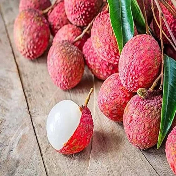 pink-fresh-litchi-1.webp