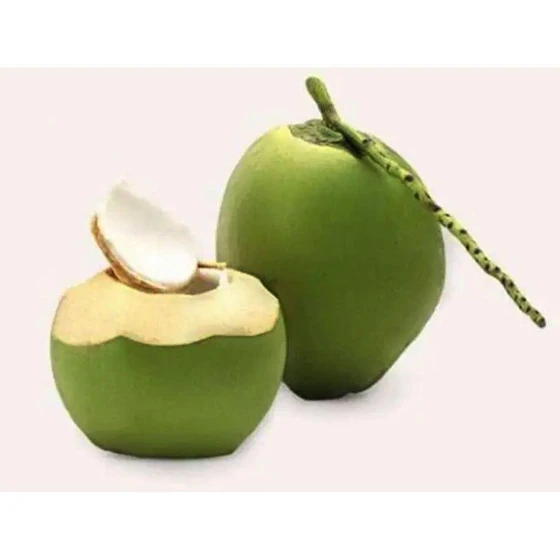 natural-fresh-coconut-1.webp