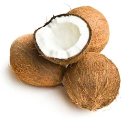 Organic Fresh Coconut