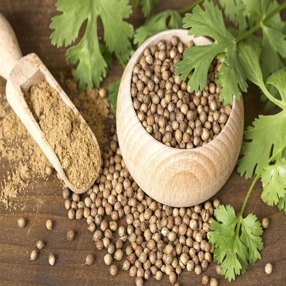 coriander-natural-powder-1.webp