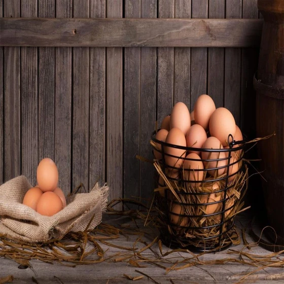 brown-poultry-egg-1.webp