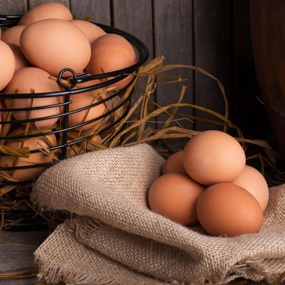 brown-poultry-egg-2.webp