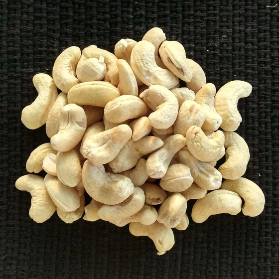 cashew-organic-nut-2.webp
