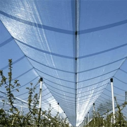 High-Quality Polyethylene Transparent Anti Hail Net