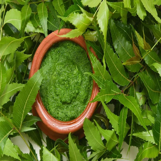 green-neem-leave-2.webp