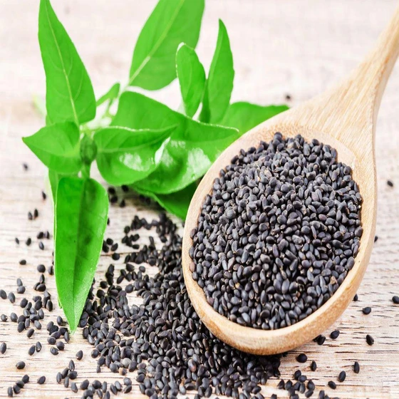 organic-basil-seeds-2.webp