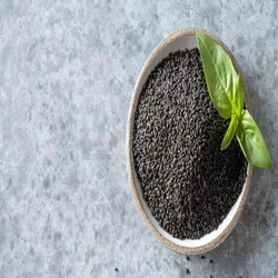 Holy Basil Seeds