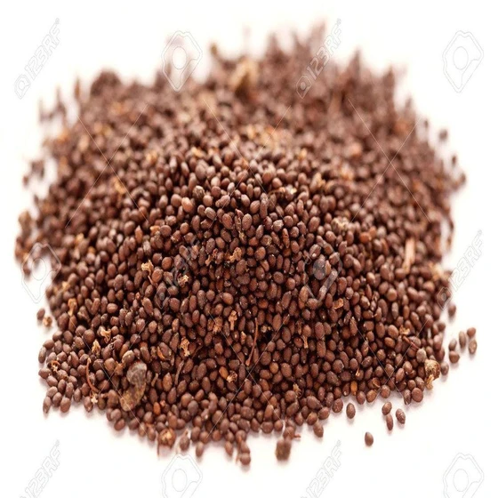 brown-basil-seeds-1.webp