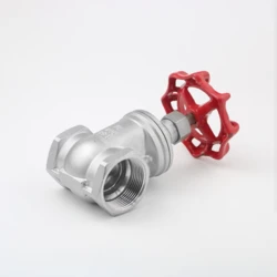 304 internal thread gate valve