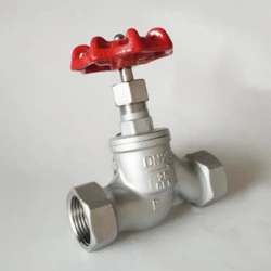 S-type 304 internal thread globe valve