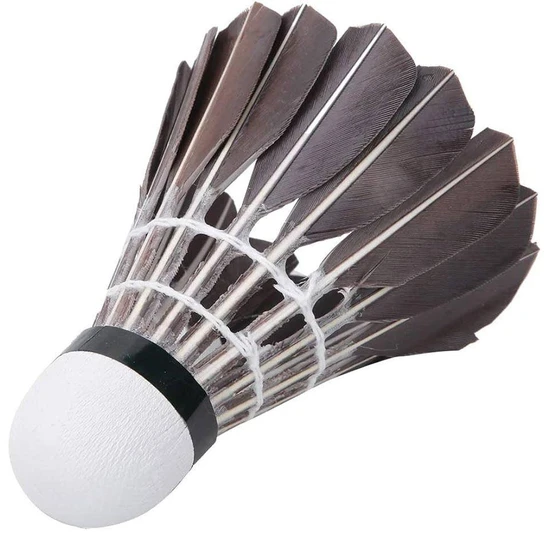 black-badminton-shuttlecock-1.webp