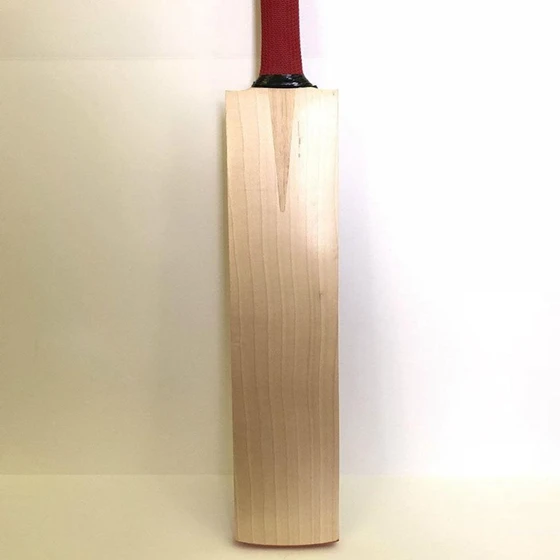 a-grade-cricket-bat-1.webp