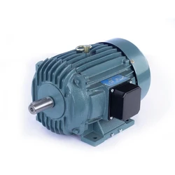 Electric Foot Mounted Motor 