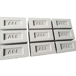 Fly Ash Brick