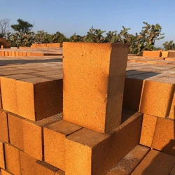 Industrial Acid Proof Bricks