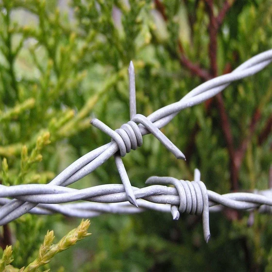 barbed-wire-fence-1.webp