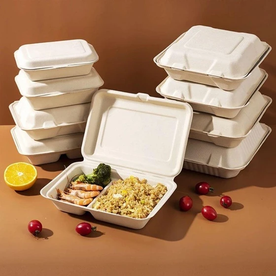 biodegradable-food-containers-1.webp