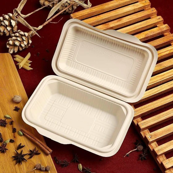 biodegradable-food-containers-2.webp