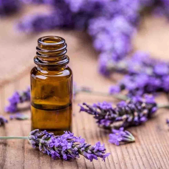 lavender-oil-2.webp