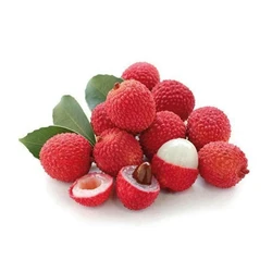 Litchi Fruit Plant
