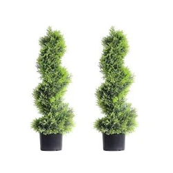 Outdoor Topiary Plants