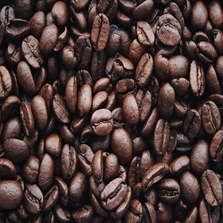 Roasted Arabica Coffee